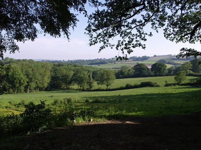 A lush green field with trees and rolling hills in the background.