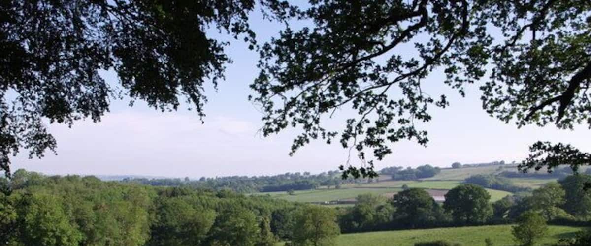 A lush green field with trees and rolling hills in the background.