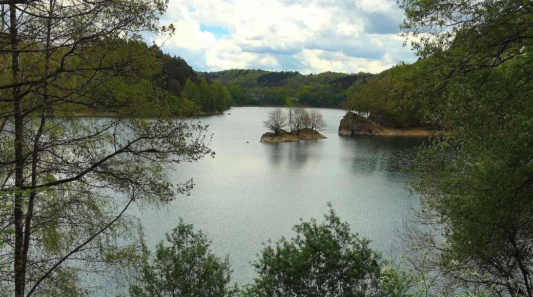 Поход-экскурсия на водохранилище реки Вуппер у Леннепа, Ремшайд, Германия. 13 мая 2017.