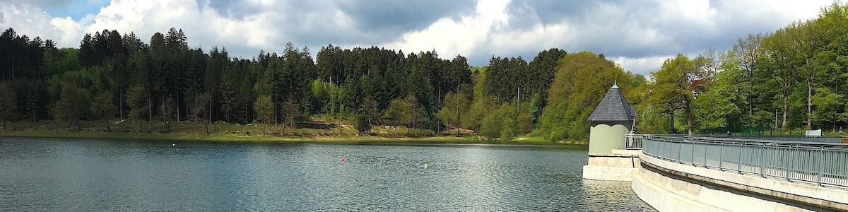 Поход-экскурсия на водохранилище реки Вуппер у Леннепа, Ремшайд, Германия. 13 мая 2017.Танковое водохранилище.