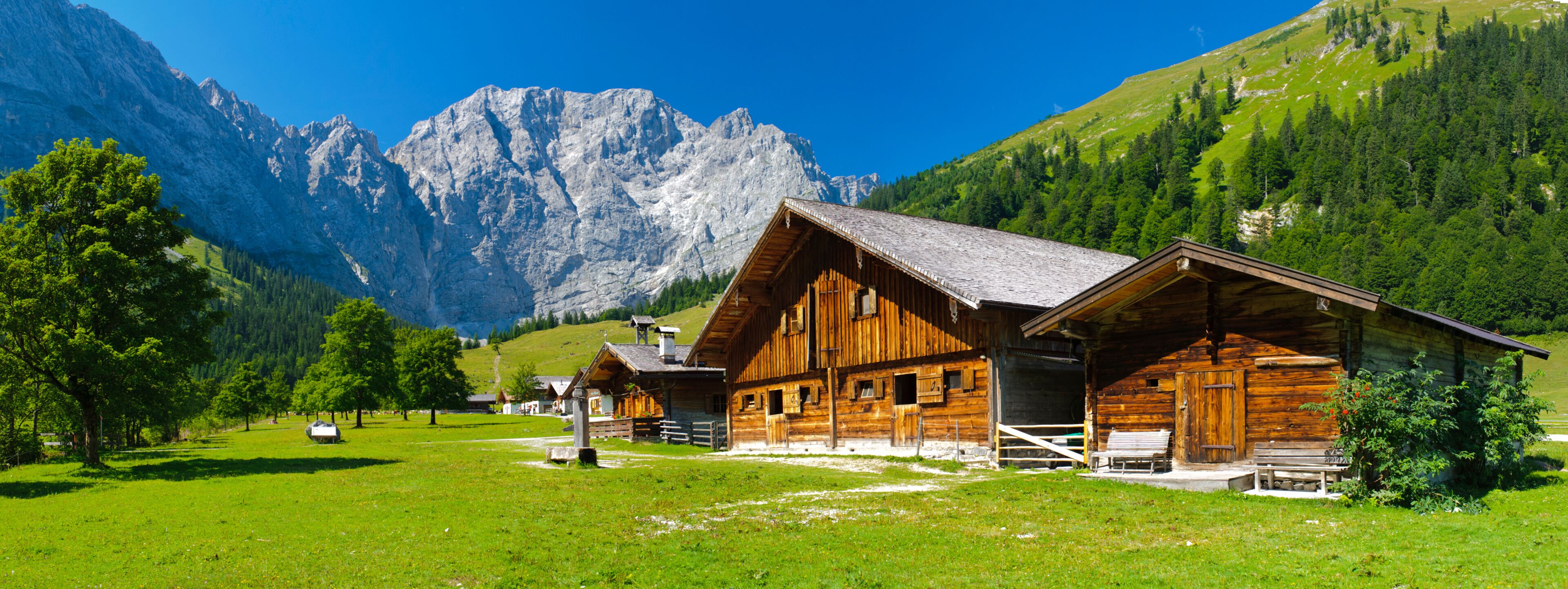 A wooden cabin with a sloped roof, surrounded by a lush green meadow, with mountains in the background.