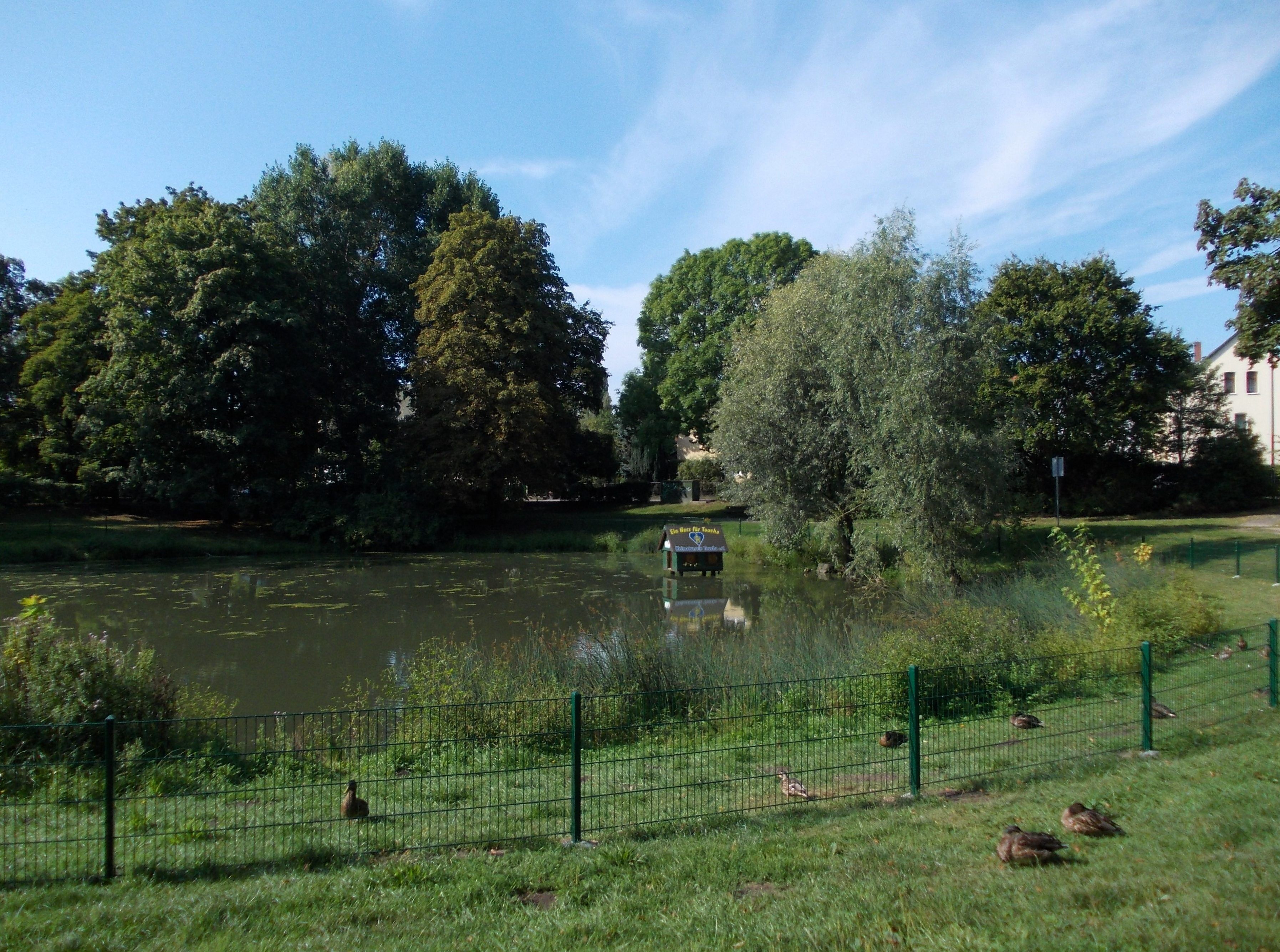 Kleiner Schöppenteich, pond in Taucha (Nordsachsen district, Saxony)