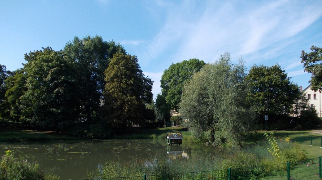 Kleiner Schöppenteich, pond in Taucha (Nordsachsen district, Saxony)