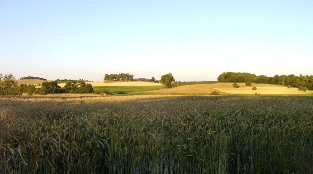 Blick auf Endmoränenhügel Rübrichsberg und Fuchsberg