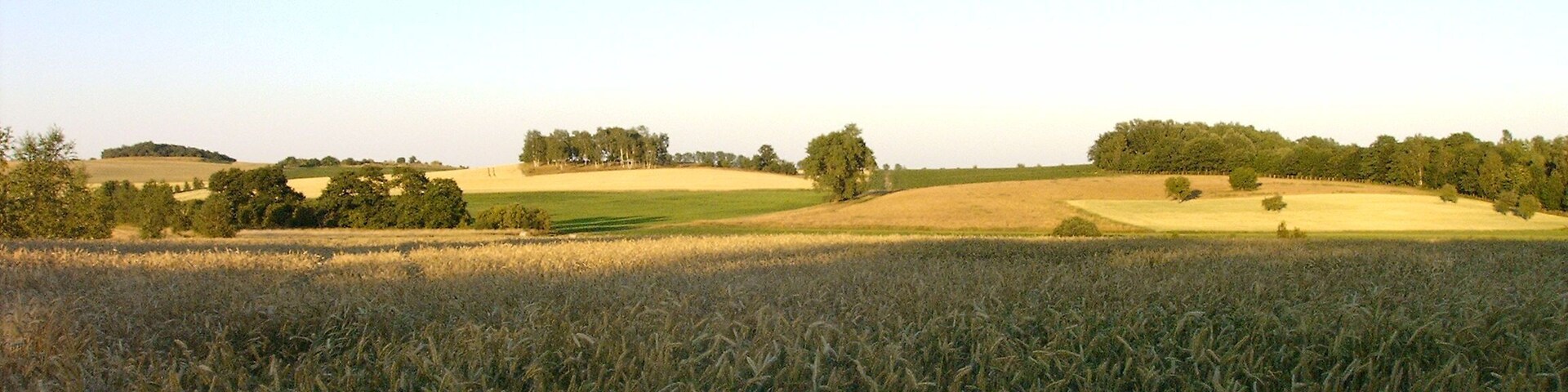 Blick auf Endmoränenhügel Rübrichsberg und Fuchsberg