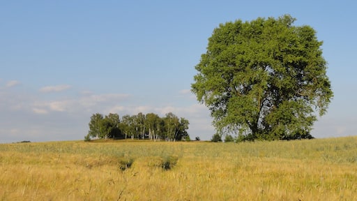 EndmorĂ€nenhĂŒgel bei Taucha / Sehlis