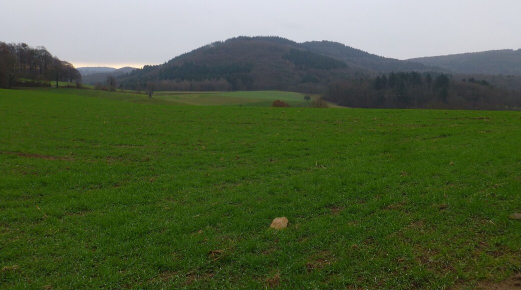 Blick von der Ursenbacher Höhe zum Eichelberg