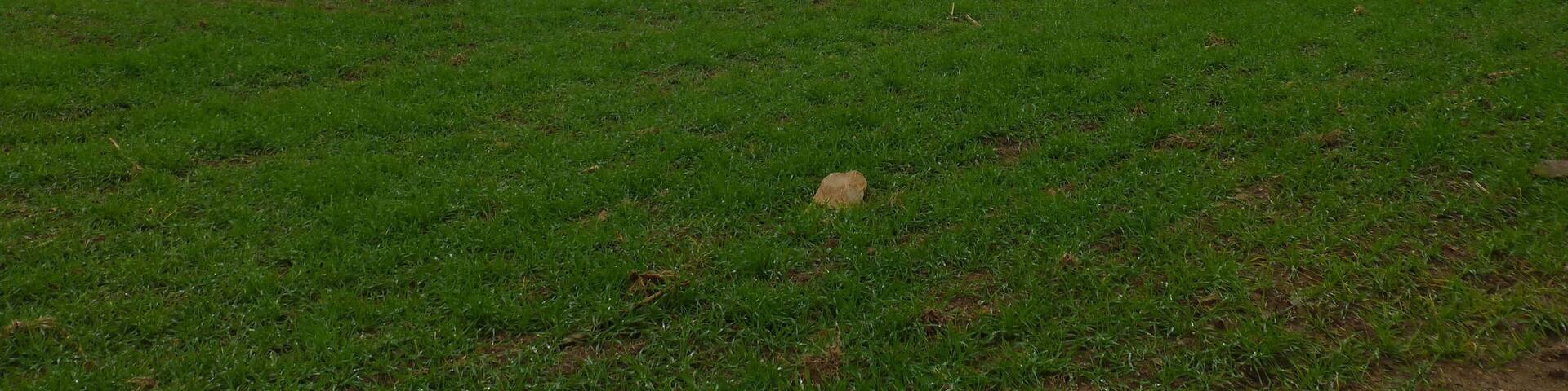 Blick von der Ursenbacher Höhe zum Eichelberg