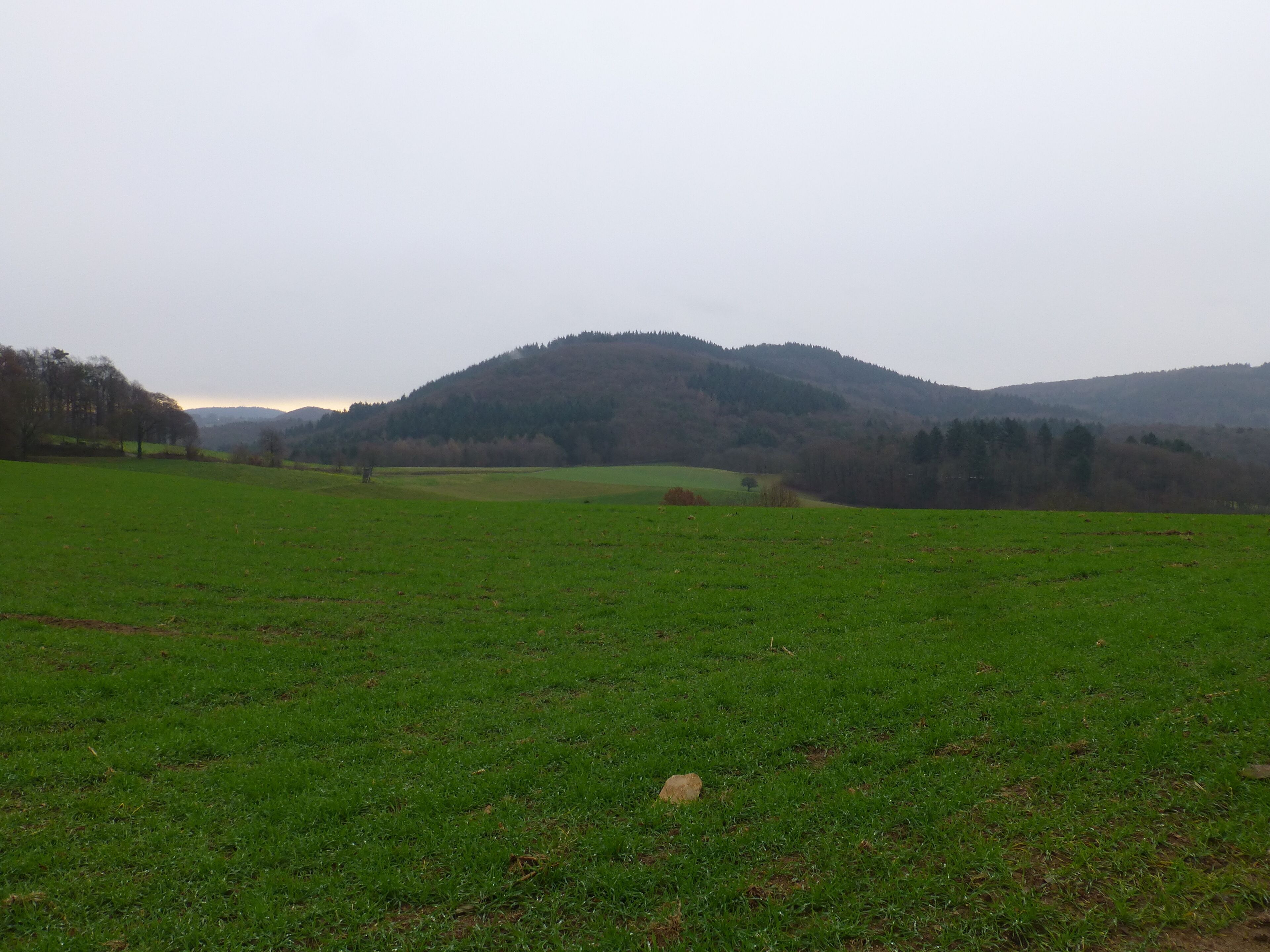 A green field with a hill in the background.