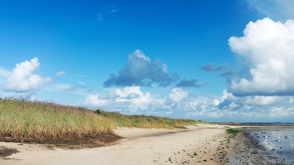 A beach with sand, water, and tall grass under a partly cloudy sky.
