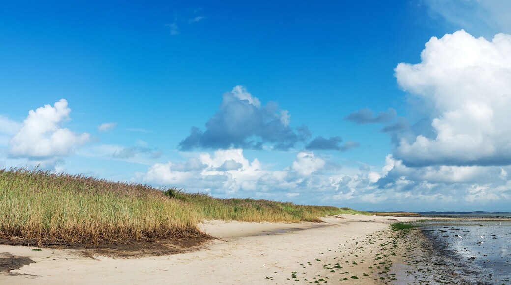 Beach at Wenningstedt-Braderup located on the island of Sylt, Schleswig-Holstein, Germany; Shutterstock ID 317443277; Purchase Order: -