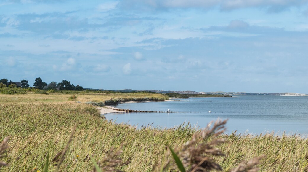 Braderuper Heide Sylt Sylt