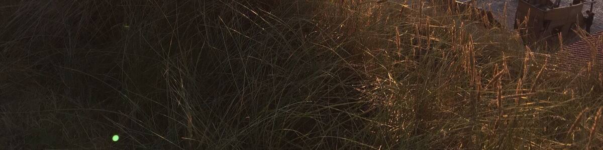 Sylt is an german island and a hotspot for peaceful vacations.