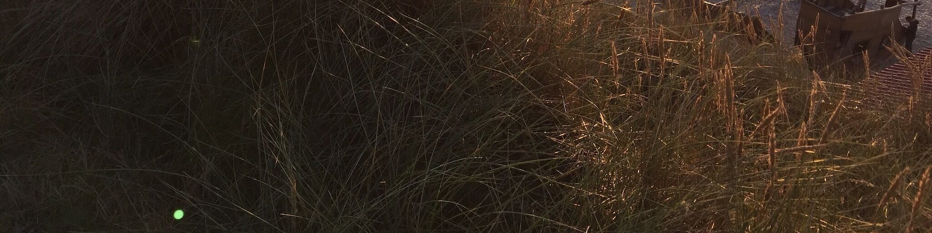 Sylt is an german island and a hotspot for peaceful vacations.