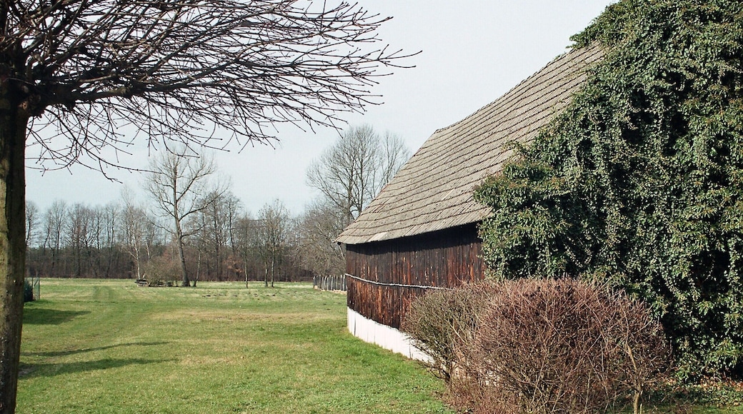Nunsdorf (Zossen), landscape