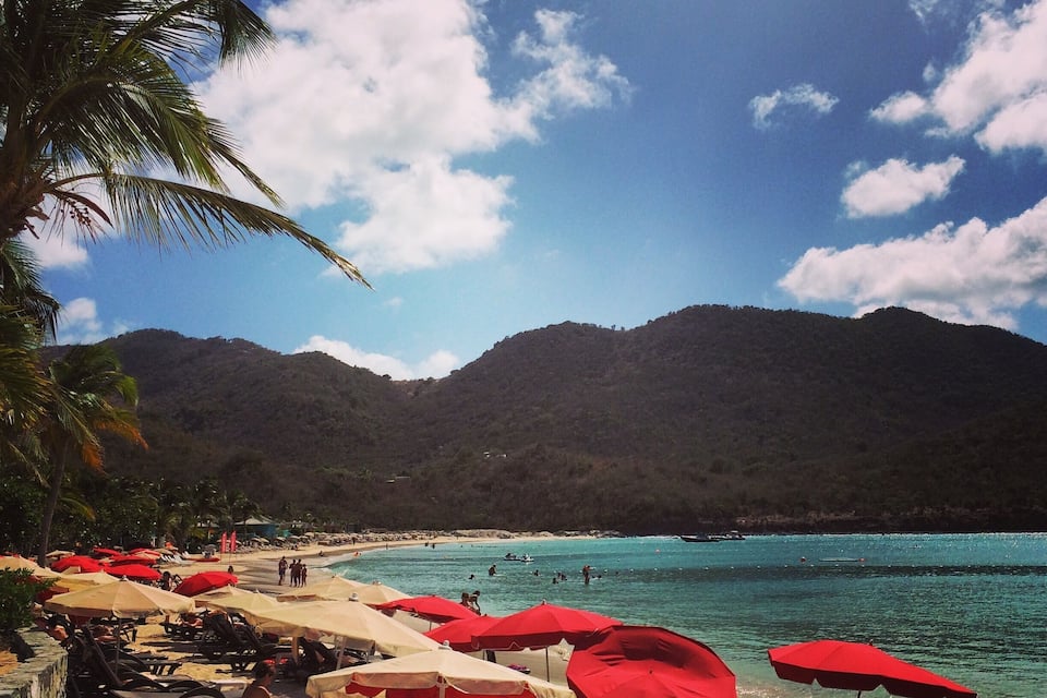 A beach with red umbrellas, lounge chairs, and palm trees.