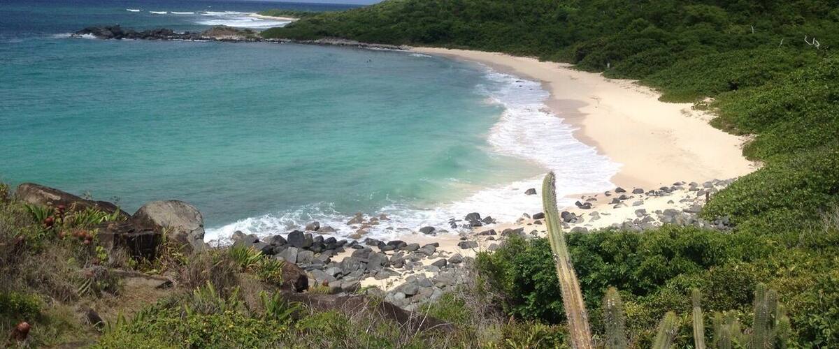 The 45 minute hike to this secluded beach is so worth it. Park at top of hill near Anse Marcel and follow signs. The trail is filled with hermit crabs, cactus, and great views. Shoes needed (flip flops are a no go). Bring water and lunch.