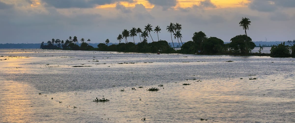 A sunset over a coastal area with palm trees and a calm sea.