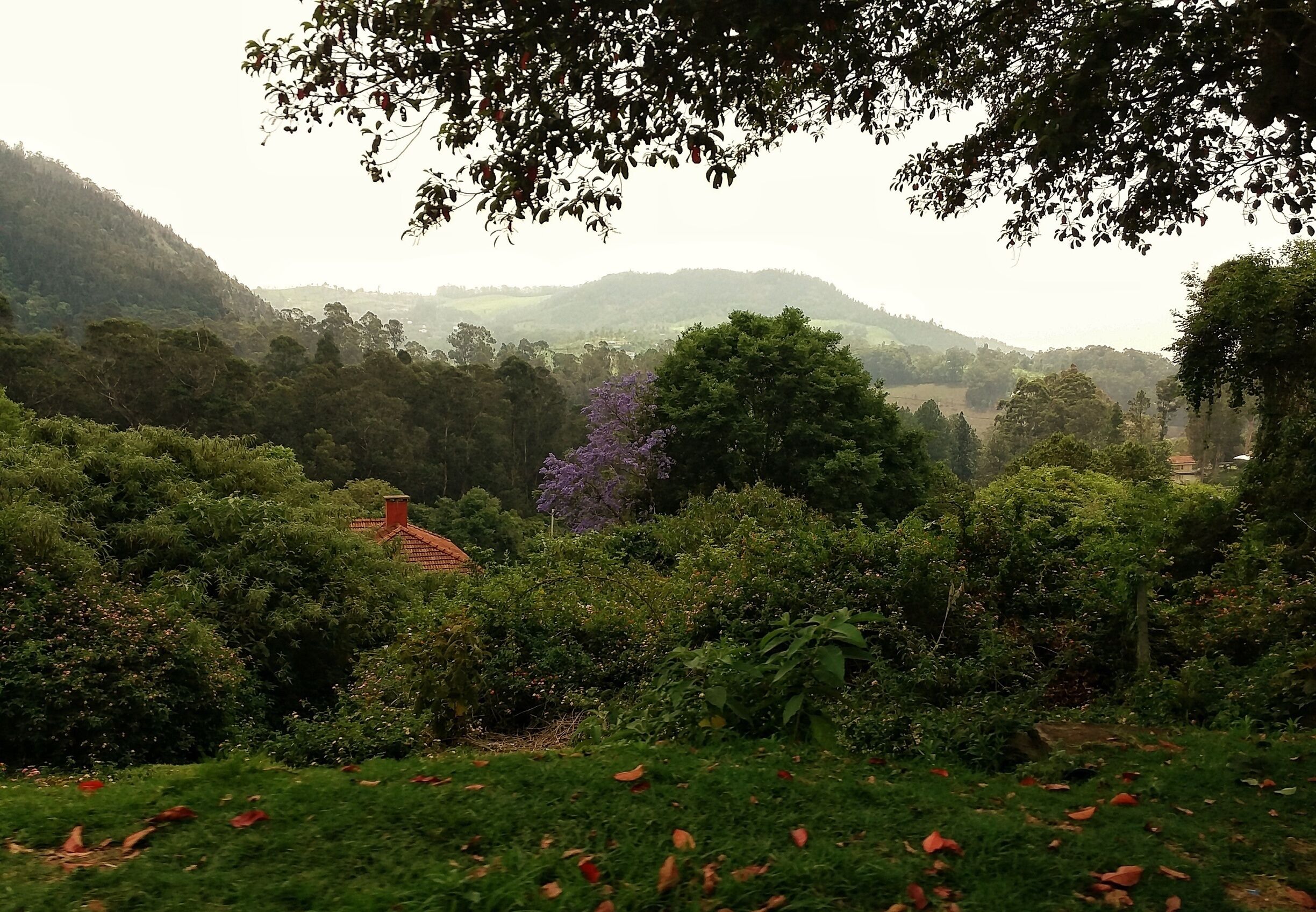 Breathtaking landscape around Coonoor /Tamil Nadu 