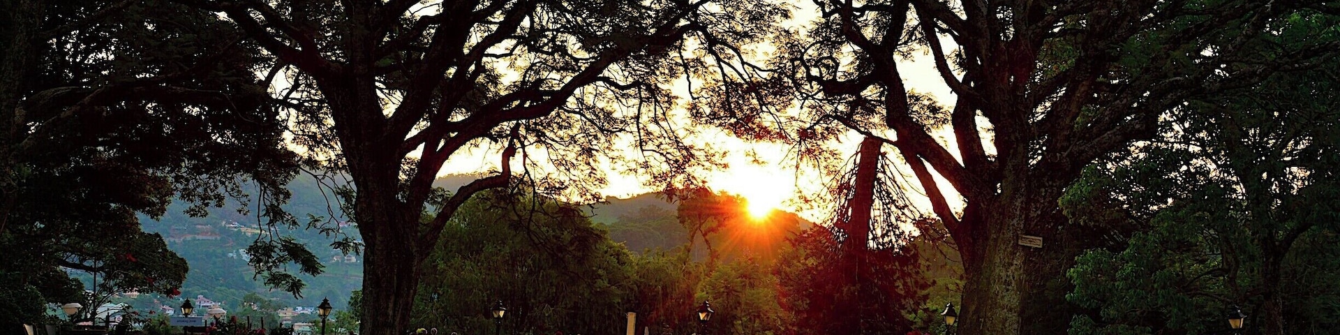 Un área de estar circular al aire libre con sillas de metal y un pozo de fuego central, rodeada de árboles altos y un atardecer de fondo.