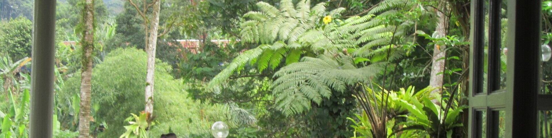 Door-to-door salesman Indonesian style. You can see how the lush the setting is up in the mountains above Jakarta. We would stay at this old Dutch mansion for weekends away from the bustle of the big city. It was also a lot cooler (less humid) in the mountains. #mountains