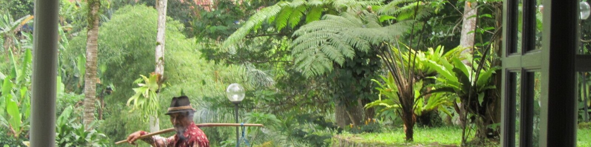 A man in a patterned shirt and hat holding a stick, standing in a lush garden with ferns and yellow flowers.
