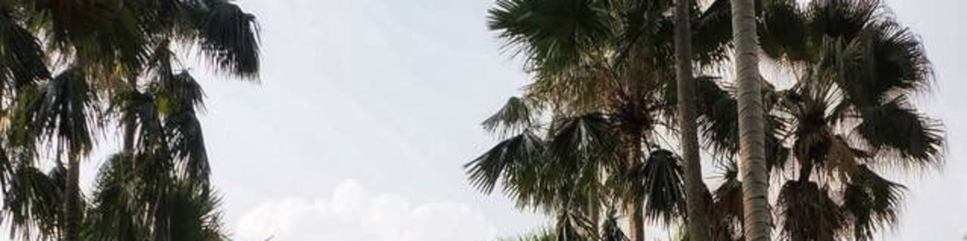 Bogor botanic garden