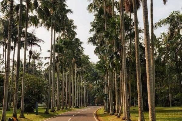Bogor botanic garden