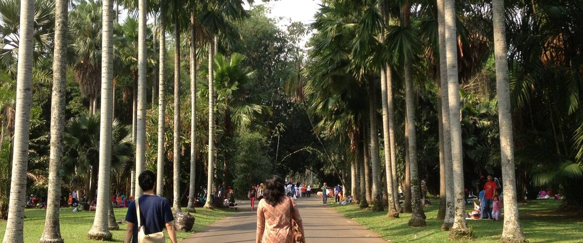 0_1e9474bd-401a-4818-bf97-29e9beded696_raw