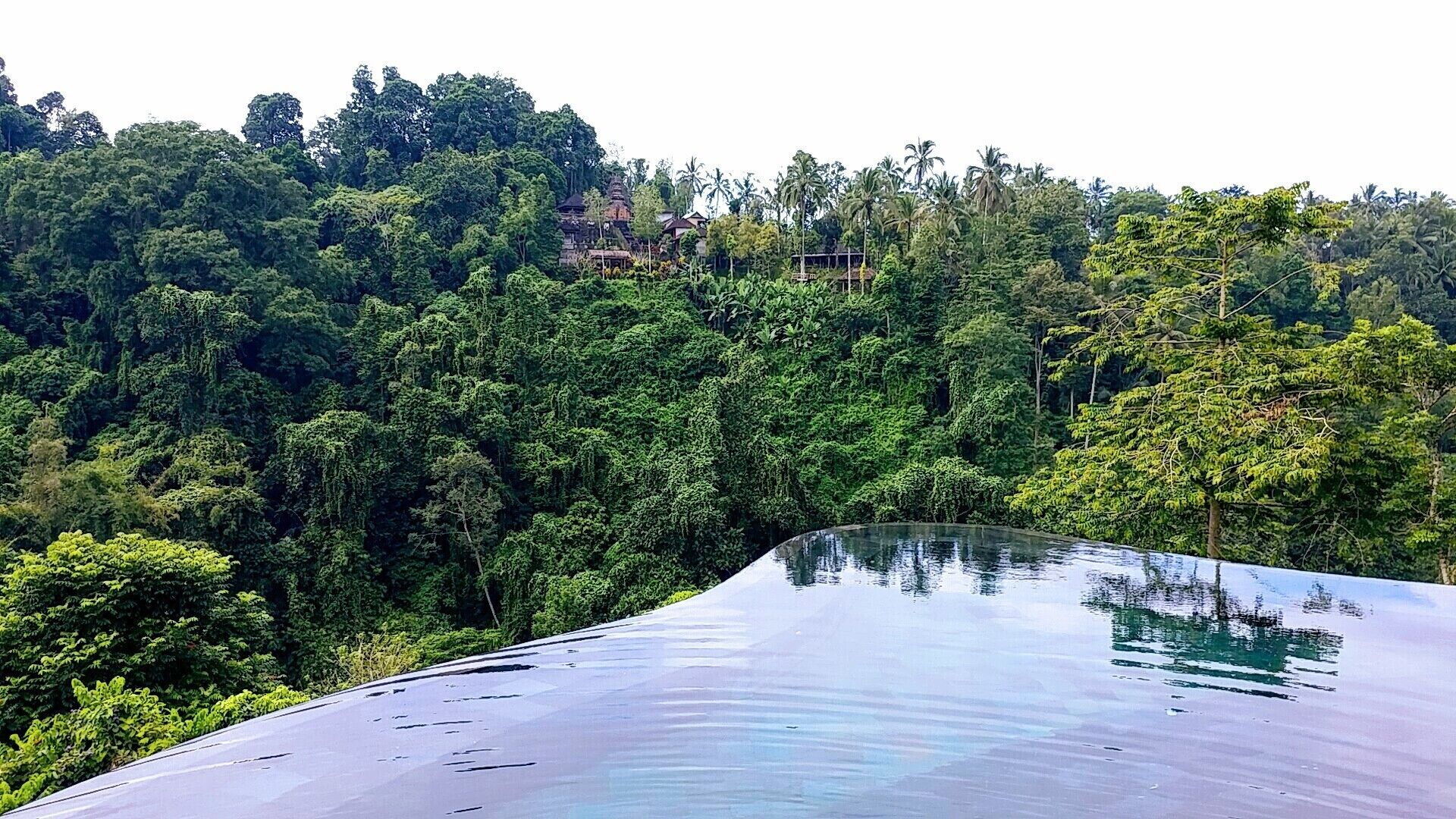 The infinity pool is beautiful overlooking the jungle and a temple on high.