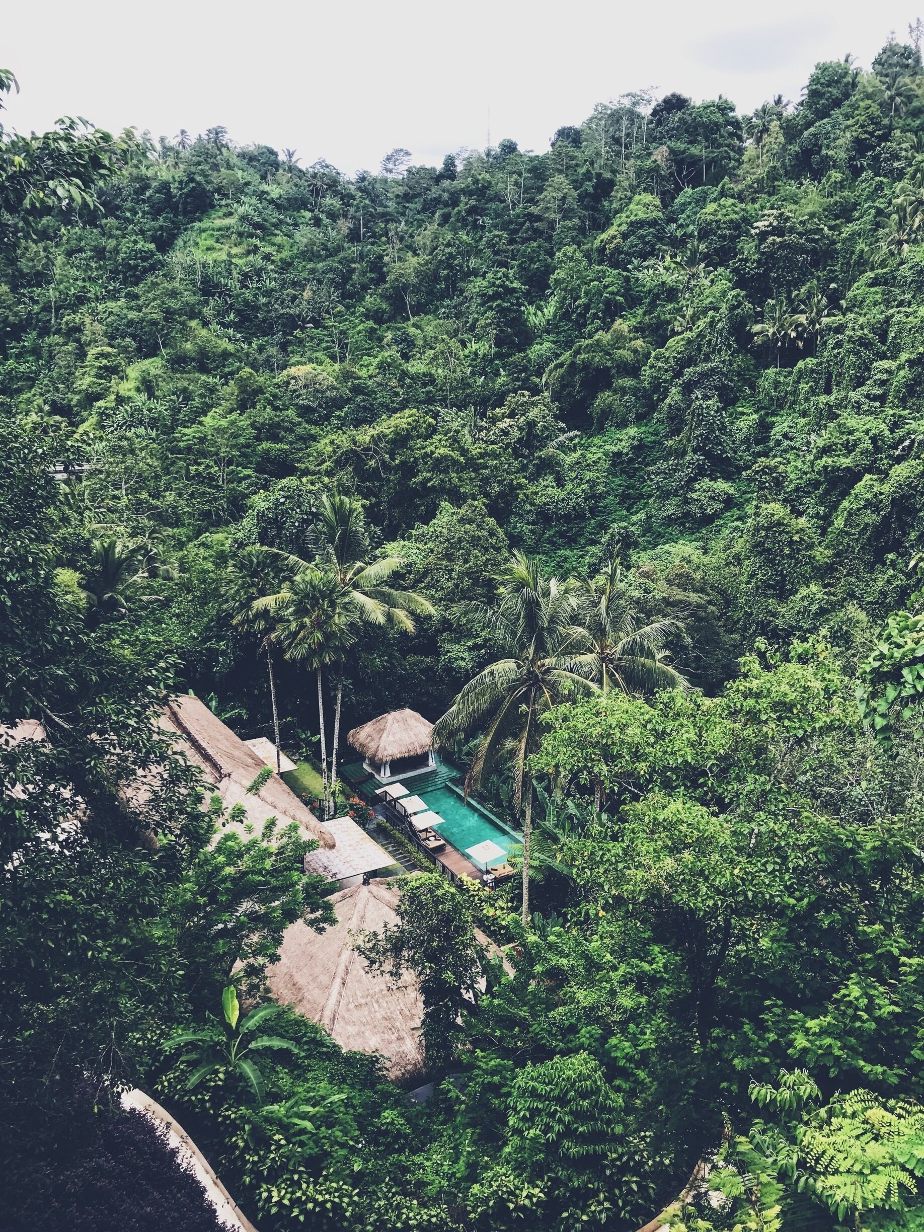 The view from the incredible jungle at the hanging gardens of Bali 💚🌴 #green #jungle #travel #pool #view #nature 