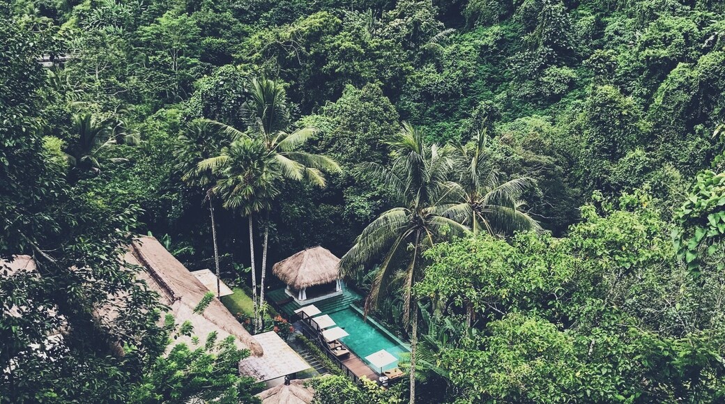 The view from the incredible jungle at the hanging gardens of Bali 💚🌴 #green #jungle #travel #pool #view #nature