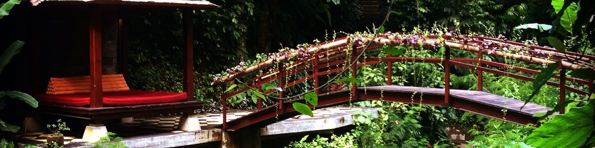 The Hanging Gardens in Ubud, Bali was by far the nicest hotel I've stayed at. You've probably seen pictures of the world famous infinity pool, but the bigger appeal for me was the private bungalows tucked away in the jungle. #jungle #Indonesia #ubud #bali