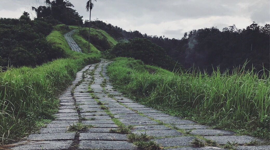 Amazing walk hidden away behind a temple. Depending on which route you go it can be hard to find but the locals seem to be helpful.