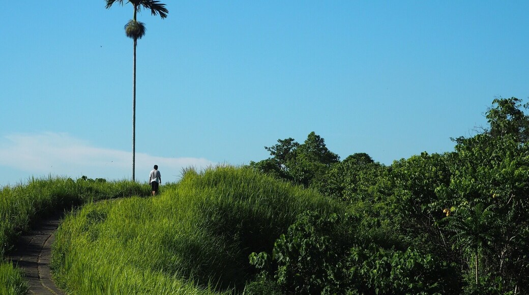 Beautiful ridge walk in Ubud, Bali. And good cafes a ways into the walk. A good morning activity cause it gets hot.