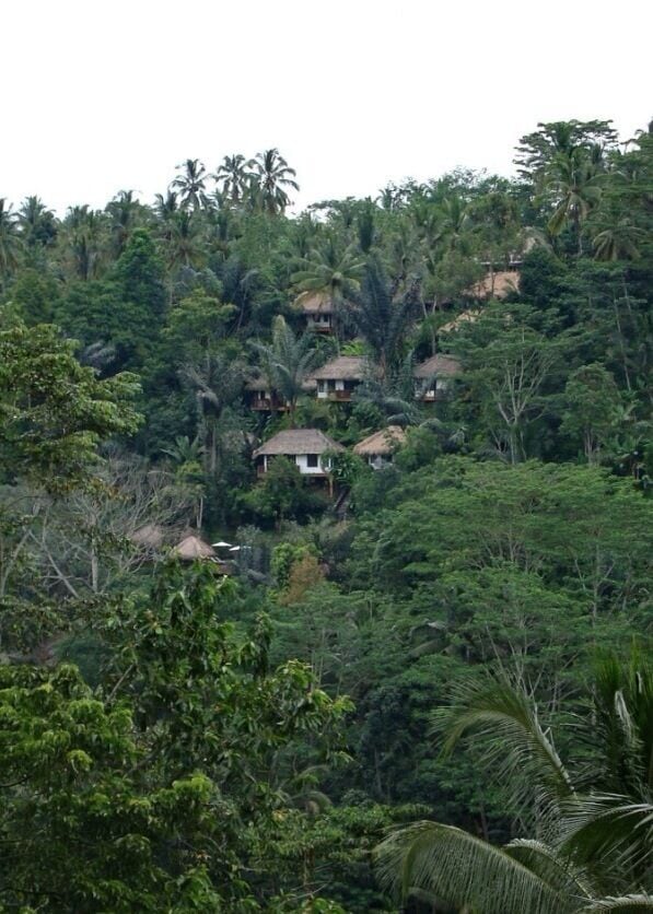 Uma encosta com casas de telhados de palha aninhadas em meio a vegetação tropical densa.