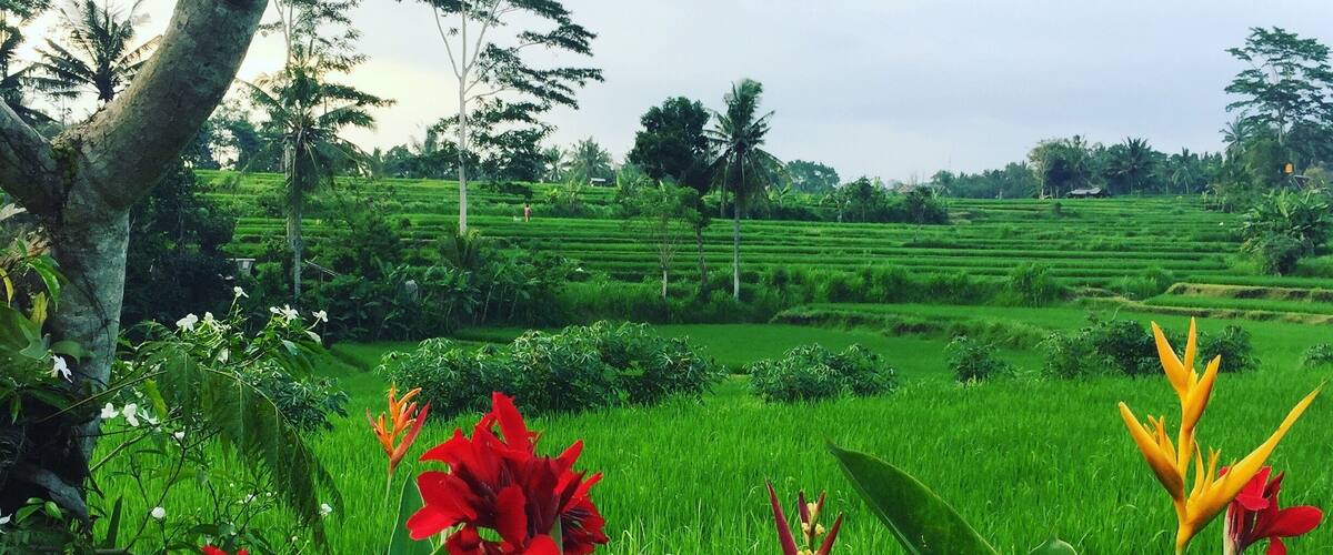Peaceful Balinese Spa in the Rice Fields... #lifeatexpedia