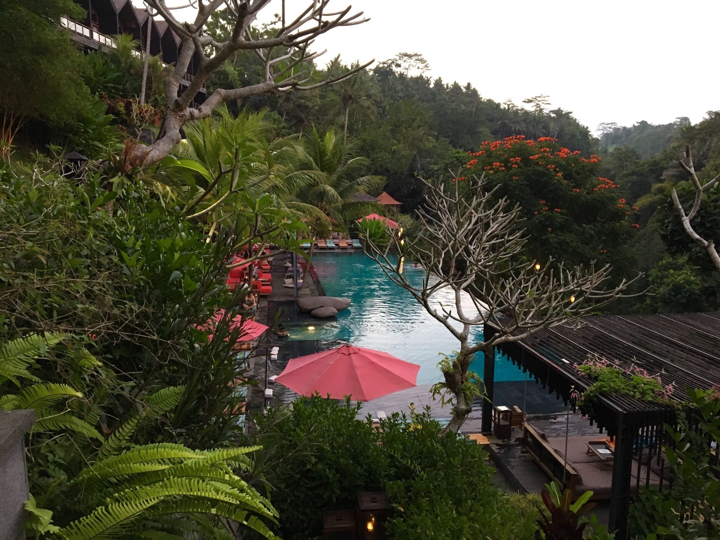 The most AMAZING spot in Ubud. I challenge anyone to find a better view! Jungle Fish Bali is a must when visiting Ubud. A simply stunning hotel/pool bar & restaurant with panoramic views of the jungle. Fine dining at its best! 