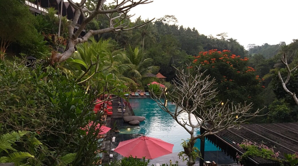 The most AMAZING spot in Ubud. I challenge anyone to find a better view! Jungle Fish Bali is a must when visiting Ubud. A simply stunning hotel/pool bar & restaurant with panoramic views of the jungle. Fine dining at its best!