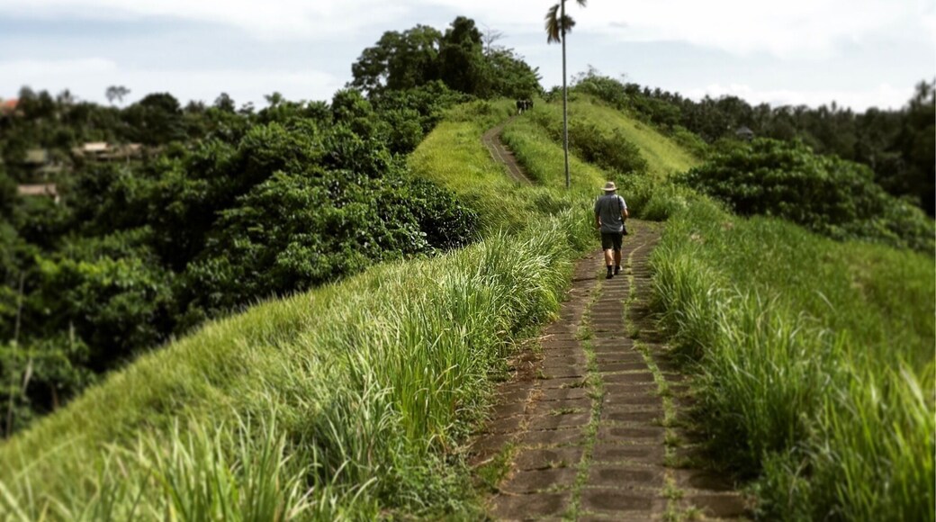 Great place to escape the crowds...