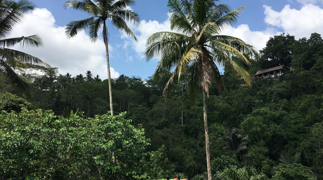 #ayungresortubud #ubud #bali #lifeatexpediagroup