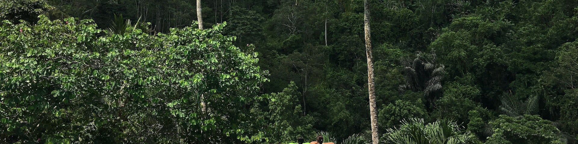 #ayungresortubud #ubud #bali #lifeatexpediagroup