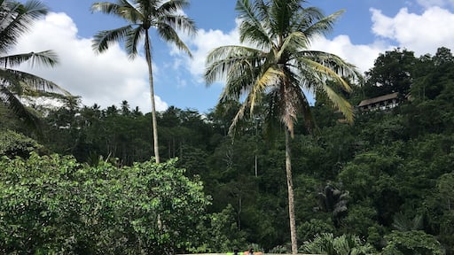 #ayungresortubud #ubud #bali #lifeatexpediagroup