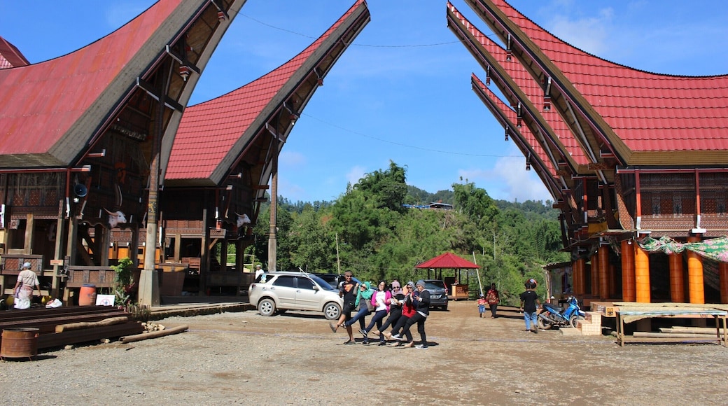 Lolai Negeri Di Atas Awan, Toraja South Sulawesi