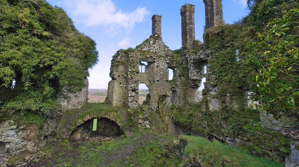 Carbury castle ruins in county Kildare, Ireland