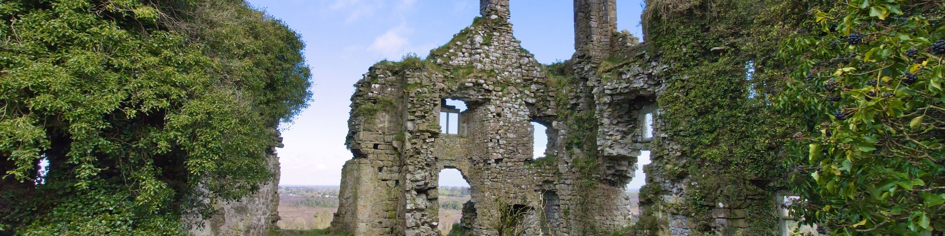 Ruinas históricas de piedra con muros cubiertos de hiedra y una pequeña entrada en arco, rodeadas de exuberante follaje.