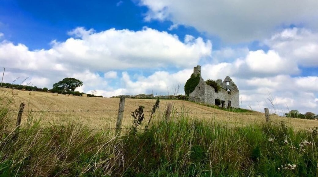 Somewhere in Kildare, Ireland.