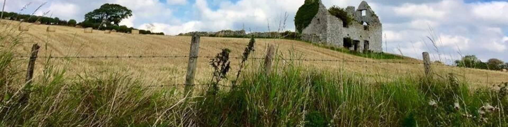 Somewhere in Kildare, Ireland.