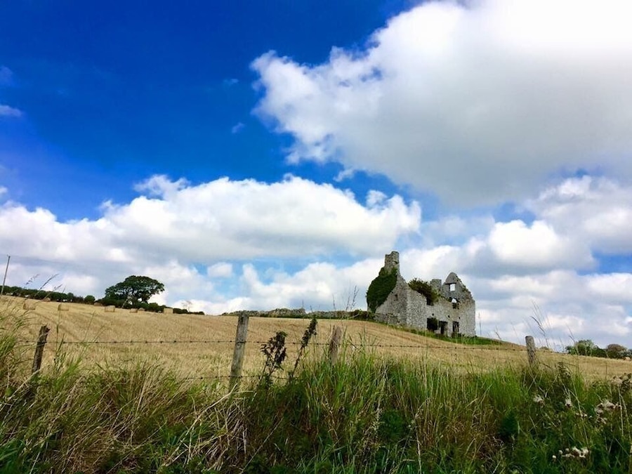 Somewhere in Kildare, Ireland.