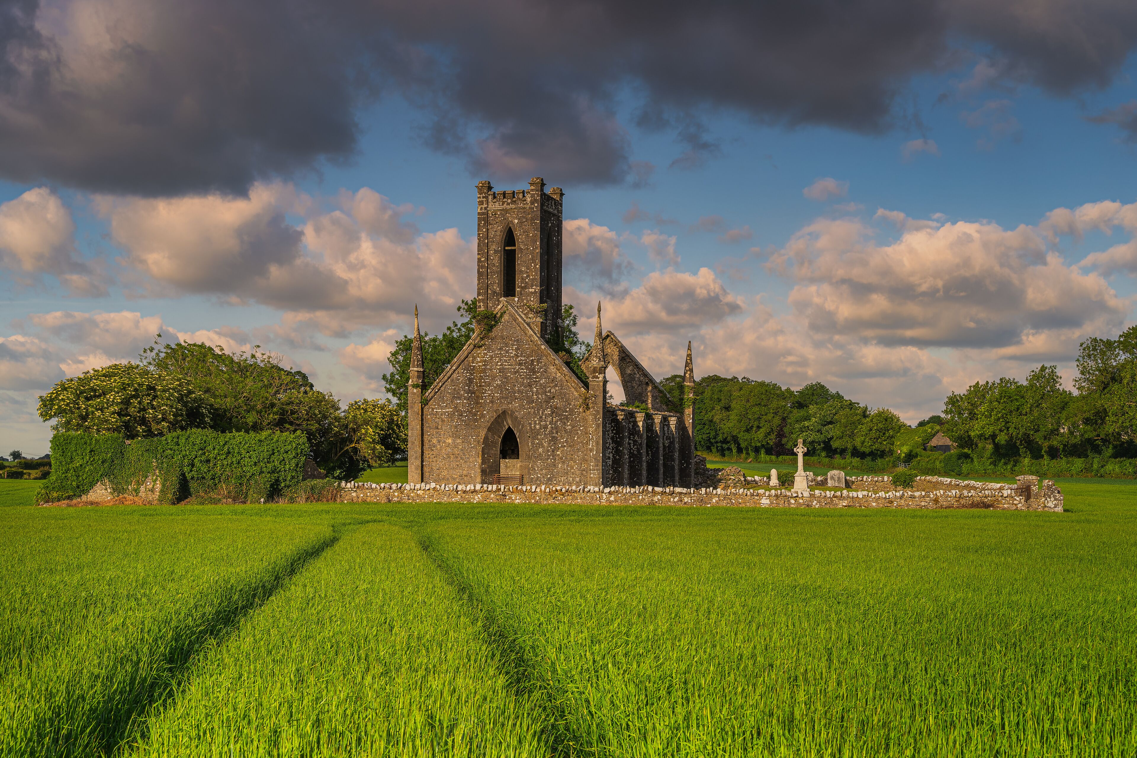 Kildare